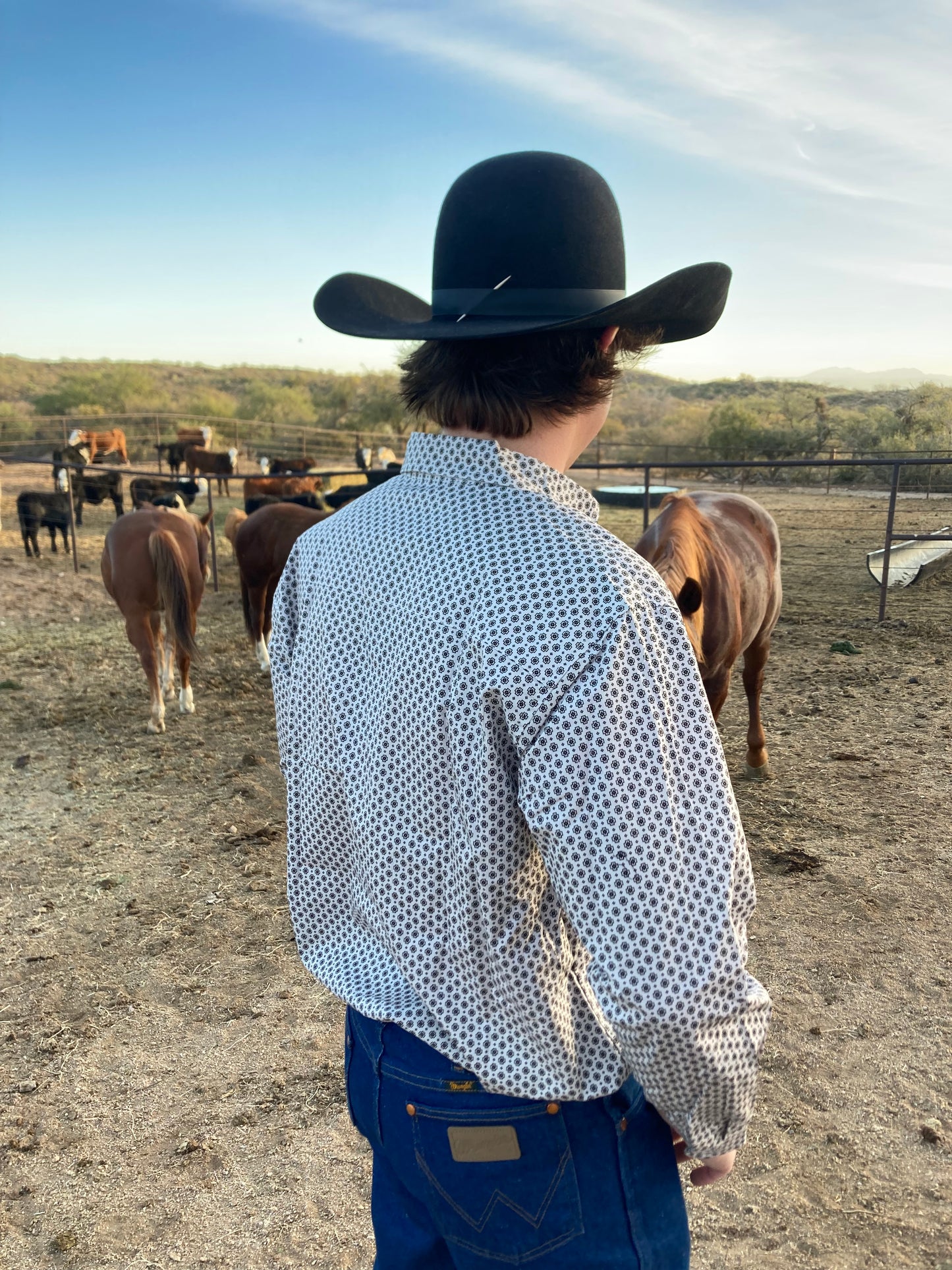 Southern Draw Men’s Longsleeve Western Button Down