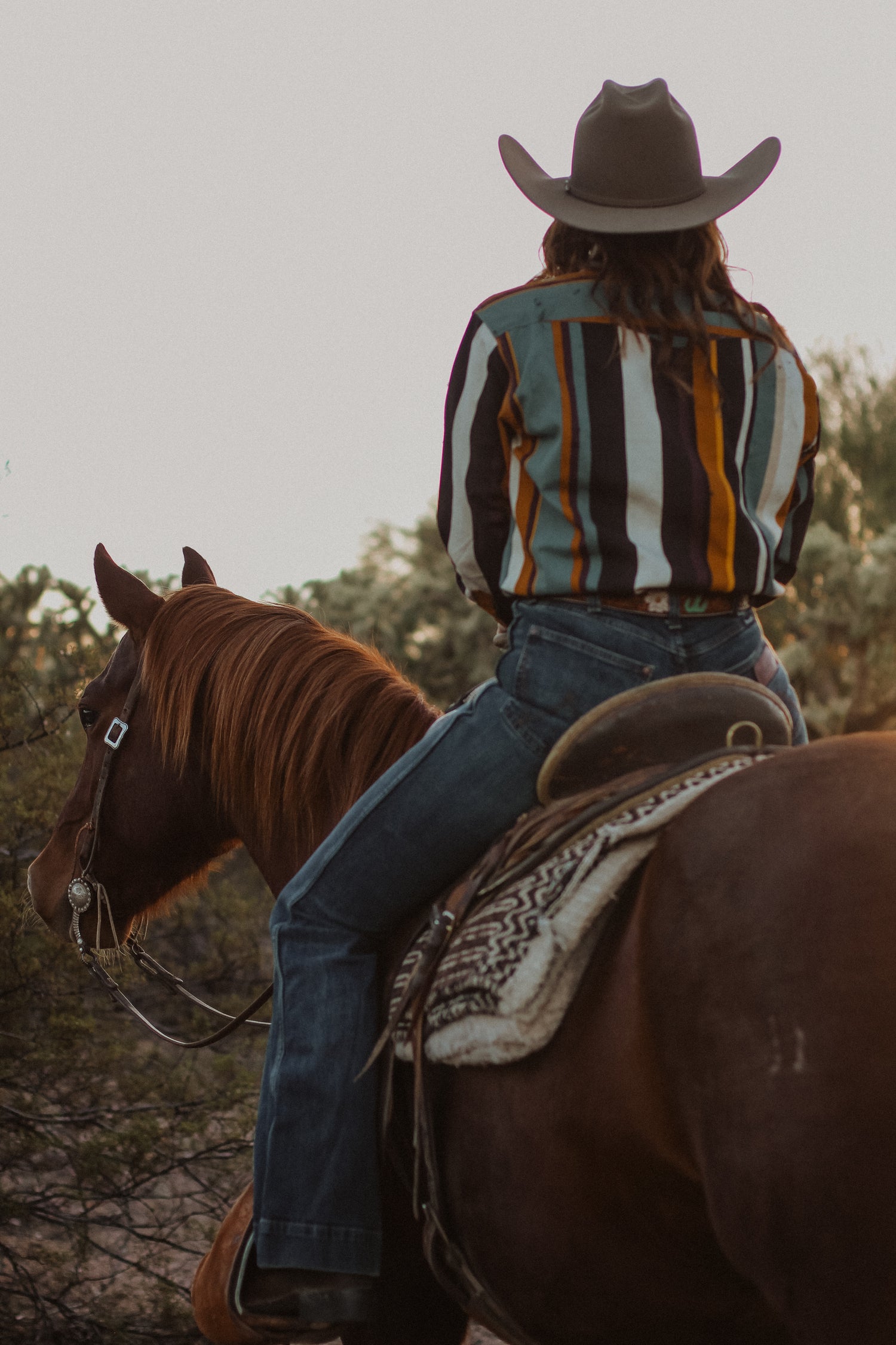 Wrangler Jeans & Apparel