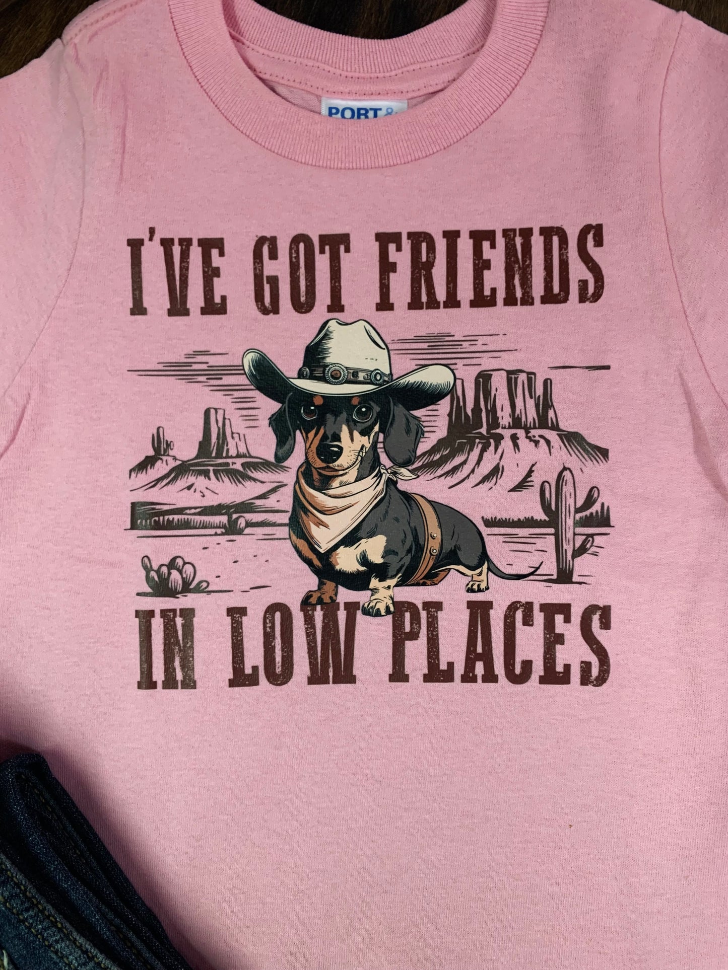 Friends In Low Places Toddler Tee