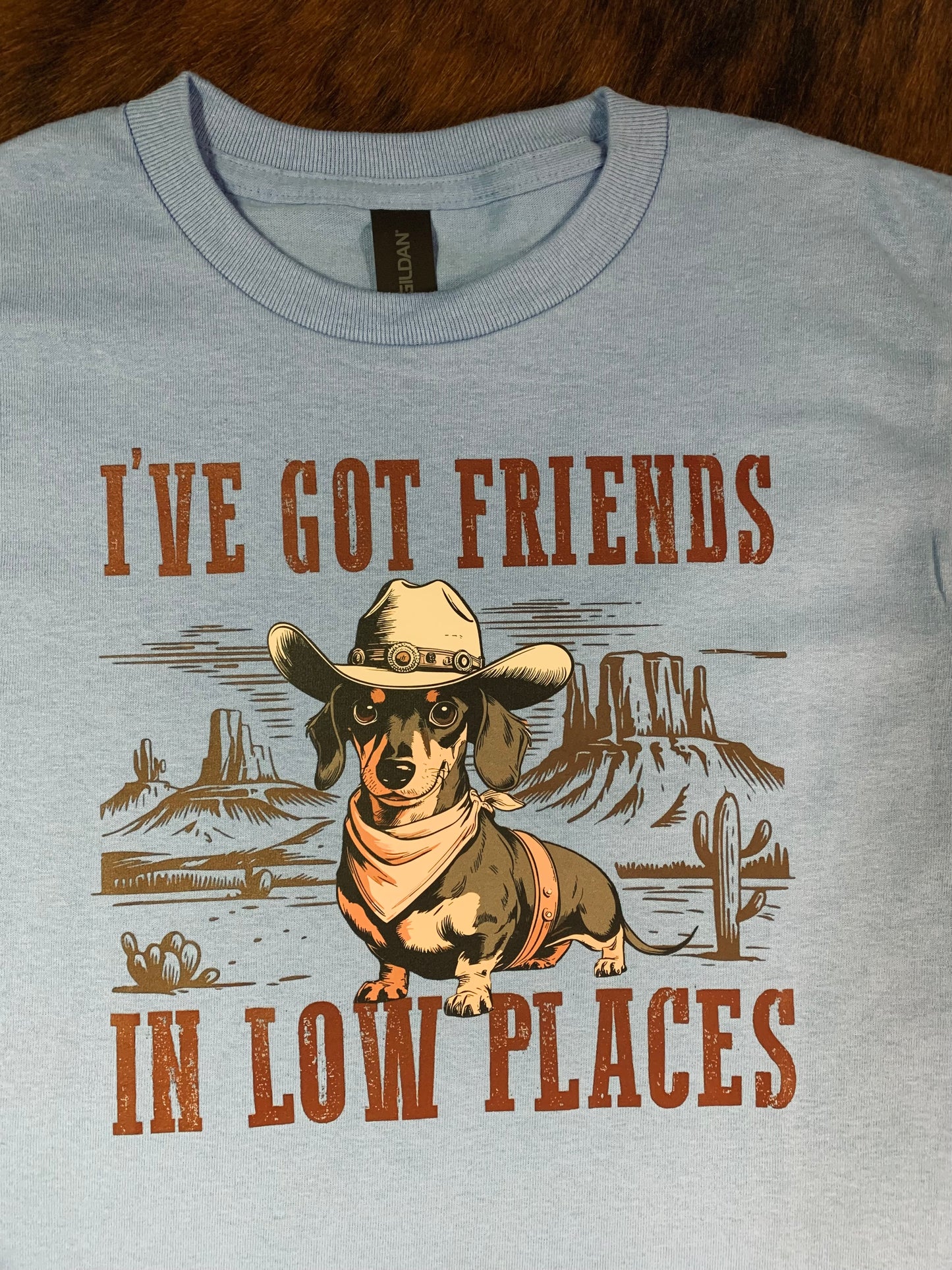 Friends In Low Places Youth Tee