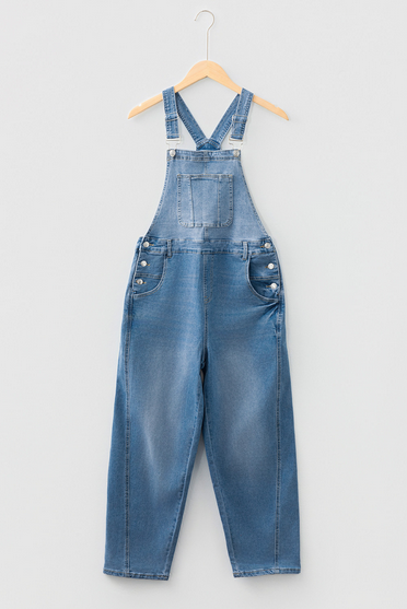 Hudson Denim Overalls