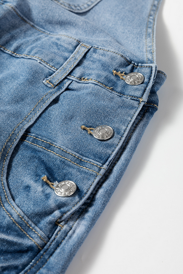 Hudson Denim Overalls